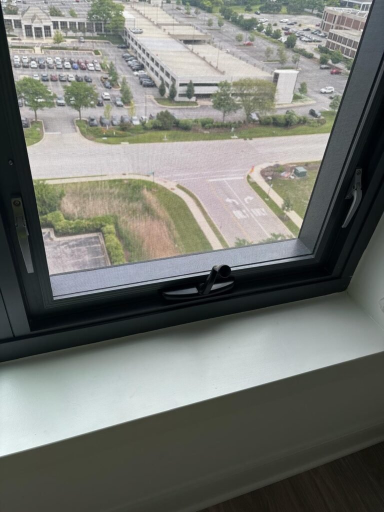 WhatsApp Image 2026-02-17 at 6.33