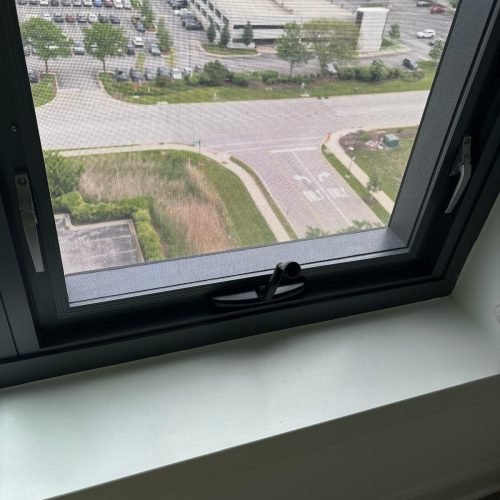 WhatsApp Image 2026-02-17 at 6.33.05 PM